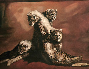 �������ͻ���Ʒ