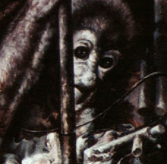 �������ͻ���Ʒ