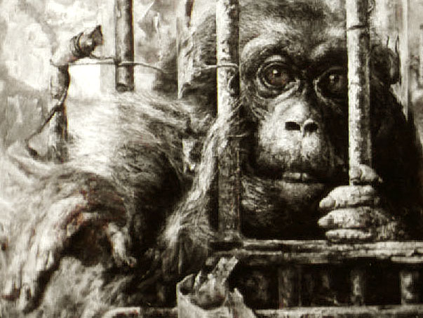 �������ͻ���Ʒ